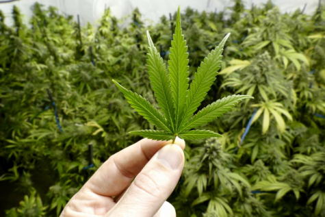 Ridgewood Imposes Restrictions On Marijuana Sales and Smoking Businesses